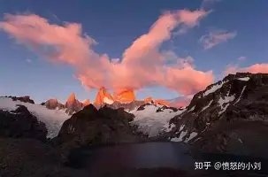 关于大坂直美战术调整再成焦点的信息|IM电竞体育官网
